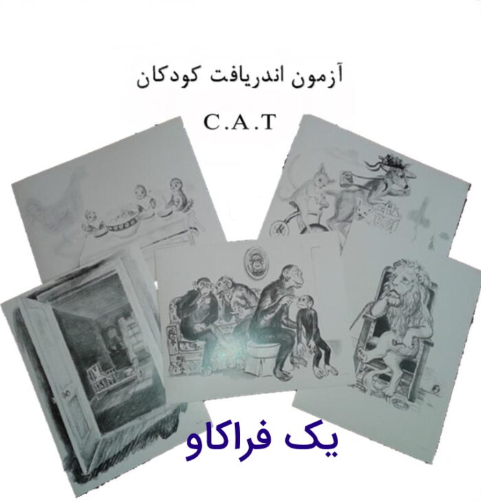 راهنمای کامل اجرا و تفسیر آزمون اندریافت کودکان cat +به همراه تصاویر